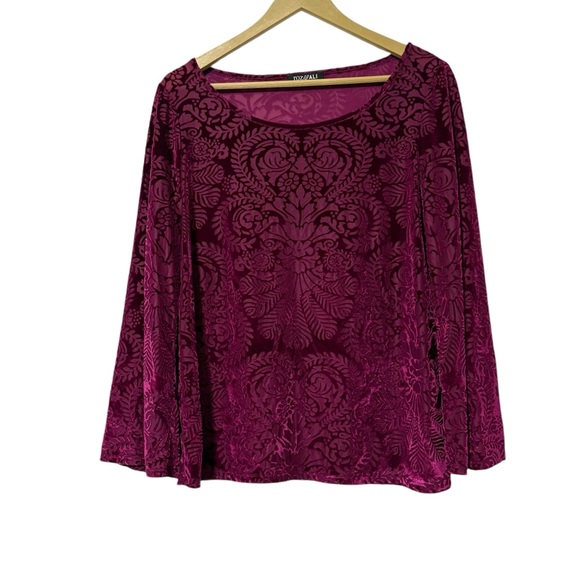 Roz & Ali Magenta Velvet Burnout Long Sleeve Shirt Whimsigoth Fairy Grunge Fall - Picture 1 of 5